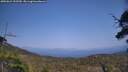 ./images/calvert/fitz-hugh-hecate/20250621/fitz-hugh-hecate20250621_155509M.jpg