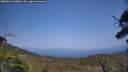 ./images/calvert/fitz-hugh-hecate/20250621/fitz-hugh-hecate20250621_160010M.jpg