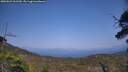 ./images/calvert/fitz-hugh-hecate/20250621/fitz-hugh-hecate20250621_161510M.jpg