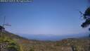 ./images/calvert/fitz-hugh-hecate/20250621/fitz-hugh-hecate20250621_162507M.jpg