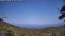 ./images/calvert/fitz-hugh-hecate/20250621/fitz-hugh-hecate20250621_163010M.jpg