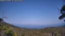 ./images/calvert/fitz-hugh-hecate/20250621/fitz-hugh-hecate20250621_165010M.jpg