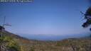 ./images/calvert/fitz-hugh-hecate/20250621/fitz-hugh-hecate20250621_165509M.jpg