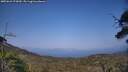 ./images/calvert/fitz-hugh-hecate/20250621/fitz-hugh-hecate20250621_173010M.jpg