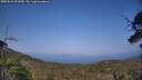 ./images/calvert/fitz-hugh-hecate/20250621/fitz-hugh-hecate20250621_173509M.jpg