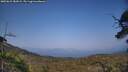 ./images/calvert/fitz-hugh-hecate/20250621/fitz-hugh-hecate20250621_181009M.jpg