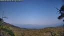 ./images/calvert/fitz-hugh-hecate/20250621/fitz-hugh-hecate20250621_181510M.jpg