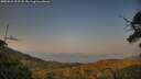 ./images/calvert/fitz-hugh-hecate/20250621/fitz-hugh-hecate20250621_202507M.jpg