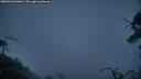 ./images/calvert/fitz-hugh-hecate/20250622/fitz-hugh-hecate20250622_044009M.jpg