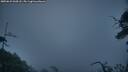 ./images/calvert/fitz-hugh-hecate/20250622/fitz-hugh-hecate20250622_044508M.jpg