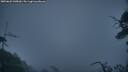 ./images/calvert/fitz-hugh-hecate/20250622/fitz-hugh-hecate20250622_045009M.jpg