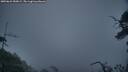 ./images/calvert/fitz-hugh-hecate/20250622/fitz-hugh-hecate20250622_050009M.jpg