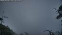 ./images/calvert/fitz-hugh-hecate/20250622/fitz-hugh-hecate20250622_050508M.jpg