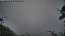 ./images/calvert/fitz-hugh-hecate/20250622/fitz-hugh-hecate20250622_051009M.jpg