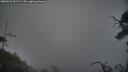 ./images/calvert/fitz-hugh-hecate/20250622/fitz-hugh-hecate20250622_051508M.jpg