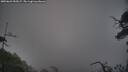 ./images/calvert/fitz-hugh-hecate/20250622/fitz-hugh-hecate20250622_052007M.jpg