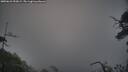 ./images/calvert/fitz-hugh-hecate/20250622/fitz-hugh-hecate20250622_053009M.jpg