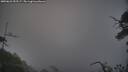 ./images/calvert/fitz-hugh-hecate/20250622/fitz-hugh-hecate20250622_053507M.jpg