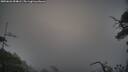 ./images/calvert/fitz-hugh-hecate/20250622/fitz-hugh-hecate20250622_054008M.jpg