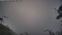 ./images/calvert/fitz-hugh-hecate/20250622/fitz-hugh-hecate20250622_054508M.jpg