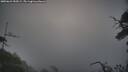 ./images/calvert/fitz-hugh-hecate/20250622/fitz-hugh-hecate20250622_055008M.jpg