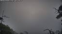 ./images/calvert/fitz-hugh-hecate/20250622/fitz-hugh-hecate20250622_055508M.jpg