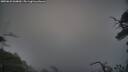 ./images/calvert/fitz-hugh-hecate/20250622/fitz-hugh-hecate20250622_060010M.jpg