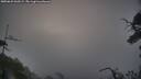 ./images/calvert/fitz-hugh-hecate/20250622/fitz-hugh-hecate20250622_060509M.jpg