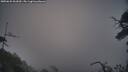 ./images/calvert/fitz-hugh-hecate/20250622/fitz-hugh-hecate20250622_061010M.jpg