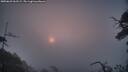 ./images/calvert/fitz-hugh-hecate/20250622/fitz-hugh-hecate20250622_061509M.jpg