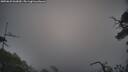 ./images/calvert/fitz-hugh-hecate/20250622/fitz-hugh-hecate20250622_062010M.jpg