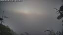 ./images/calvert/fitz-hugh-hecate/20250622/fitz-hugh-hecate20250622_063009M.jpg