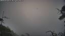 ./images/calvert/fitz-hugh-hecate/20250622/fitz-hugh-hecate20250622_063509M.jpg