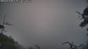 ./images/calvert/fitz-hugh-hecate/20250622/fitz-hugh-hecate20250622_064009M.jpg