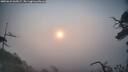 ./images/calvert/fitz-hugh-hecate/20250622/fitz-hugh-hecate20250622_065007M.jpg