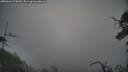 ./images/calvert/fitz-hugh-hecate/20250622/fitz-hugh-hecate20250622_070010M.jpg