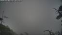 ./images/calvert/fitz-hugh-hecate/20250622/fitz-hugh-hecate20250622_071010M.jpg