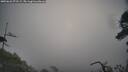 ./images/calvert/fitz-hugh-hecate/20250622/fitz-hugh-hecate20250622_073509M.jpg