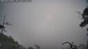 ./images/calvert/fitz-hugh-hecate/20250622/fitz-hugh-hecate20250622_074009M.jpg