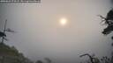 ./images/calvert/fitz-hugh-hecate/20250622/fitz-hugh-hecate20250622_074508M.jpg