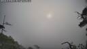 ./images/calvert/fitz-hugh-hecate/20250622/fitz-hugh-hecate20250622_075007M.jpg