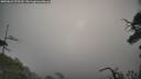 ./images/calvert/fitz-hugh-hecate/20250622/fitz-hugh-hecate20250622_075510M.jpg