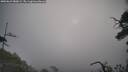 ./images/calvert/fitz-hugh-hecate/20250622/fitz-hugh-hecate20250622_080008M.jpg