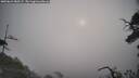 ./images/calvert/fitz-hugh-hecate/20250622/fitz-hugh-hecate20250622_080507M.jpg
