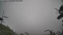 ./images/calvert/fitz-hugh-hecate/20250622/fitz-hugh-hecate20250622_085510M.jpg