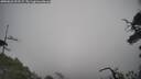 ./images/calvert/fitz-hugh-hecate/20250622/fitz-hugh-hecate20250622_093506M.jpg
