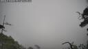 ./images/calvert/fitz-hugh-hecate/20250622/fitz-hugh-hecate20250622_100509M.jpg