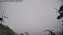 ./images/calvert/fitz-hugh-hecate/20250622/fitz-hugh-hecate20250622_102509M.jpg