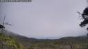 ./images/calvert/fitz-hugh-hecate/20250622/fitz-hugh-hecate20250622_124510M.jpg