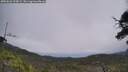 ./images/calvert/fitz-hugh-hecate/20250622/fitz-hugh-hecate20250622_125009M.jpg
